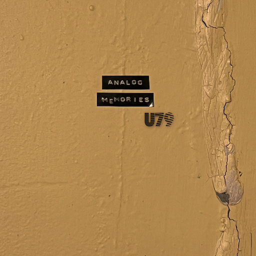 U79 - Analog Memories