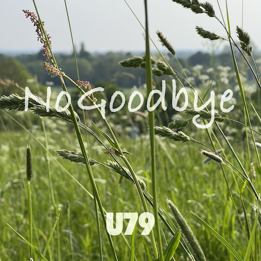 U79 - No Goodbye